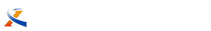 正规大小单双